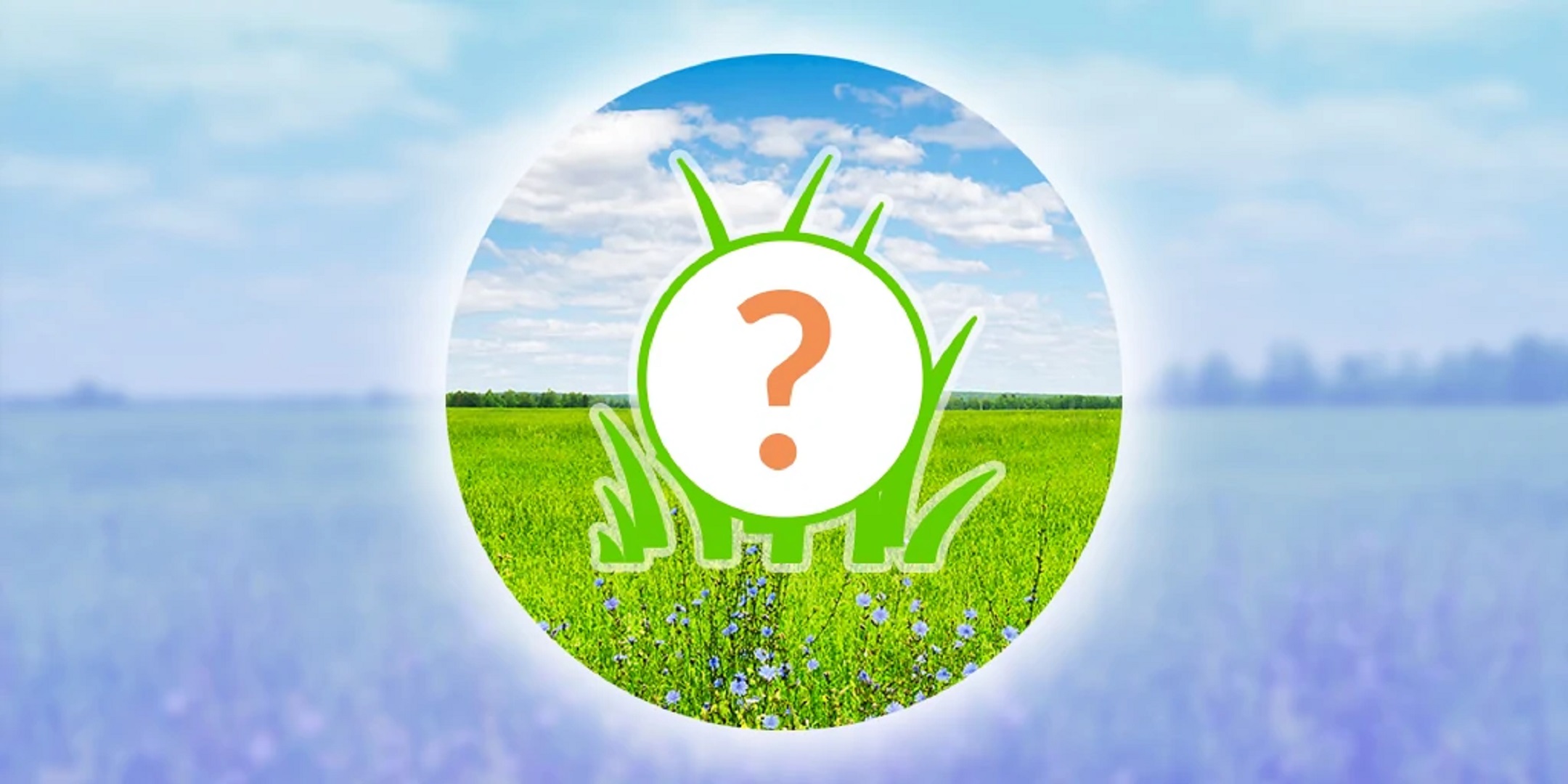 Pokemon GO, spotlight hour